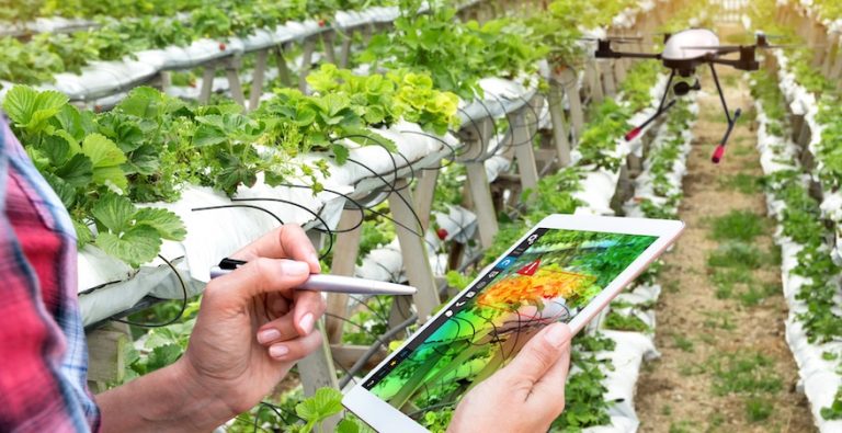 Agrotechs: estudo aborda vantagens do uso de novas tecnologias no campo