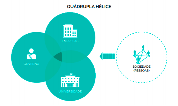 O modelo da quádrupla hélice