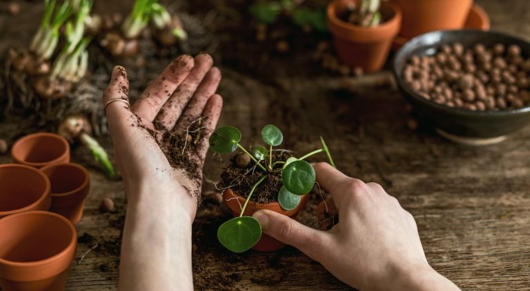 Um desafio cada vez maior à sociedade, na formação, atração e retenção. Mas as cidades não podem fazer seu papel sem universidades, empresas e governos