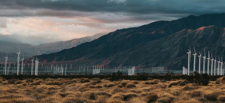 Inovação climática: a transição energética exige que empresas invistam em soluções reais e escaláveis, conectadas à realidade dos territórios.