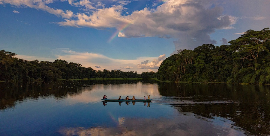 O Brasil dispõe de ativos únicos - biodiversidade, matriz energética limpa, base científica e potencial de produção - que podem ser convertidos em vantagens competitivas globais, desde que desenvolvidos com foco internacional desde o início. / Foto: Andres Medina (Unsplash) 